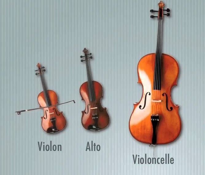Orchestre à cordes – violon, alto, violoncelle